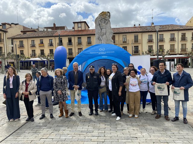 Palencia_12M (2)